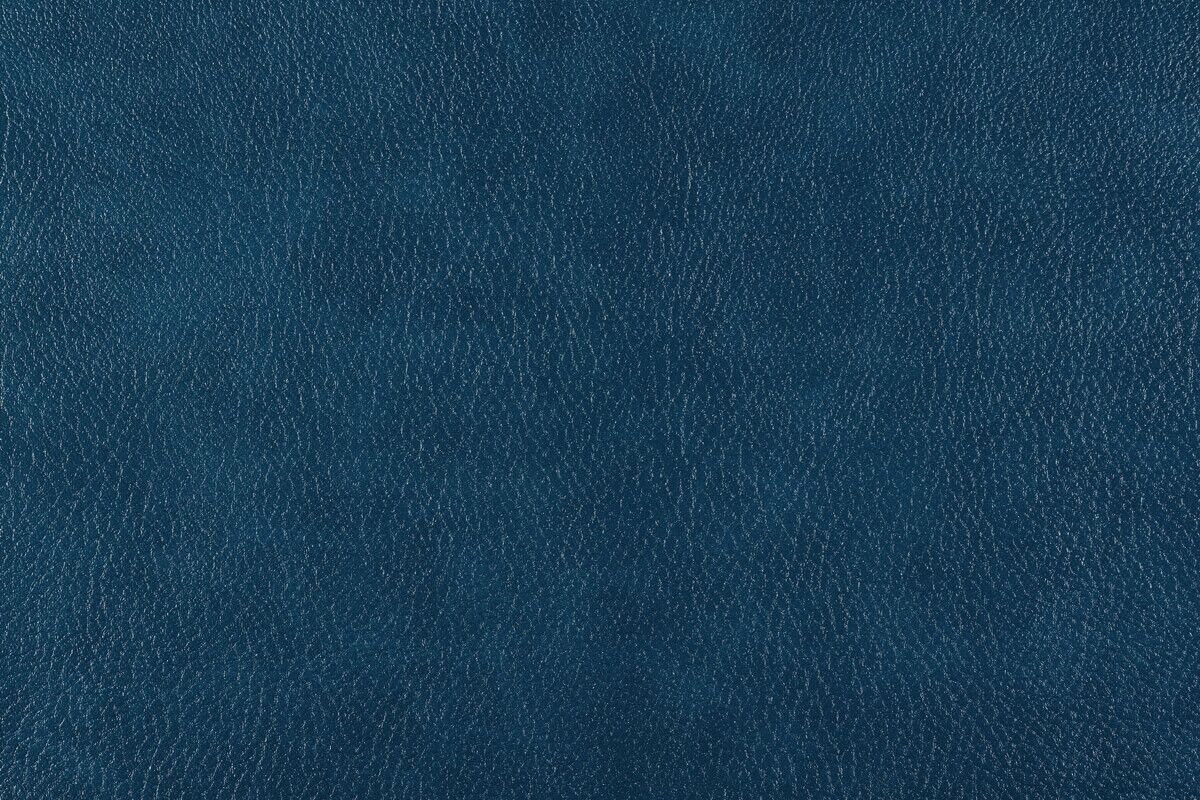 BIZON — изображение 6