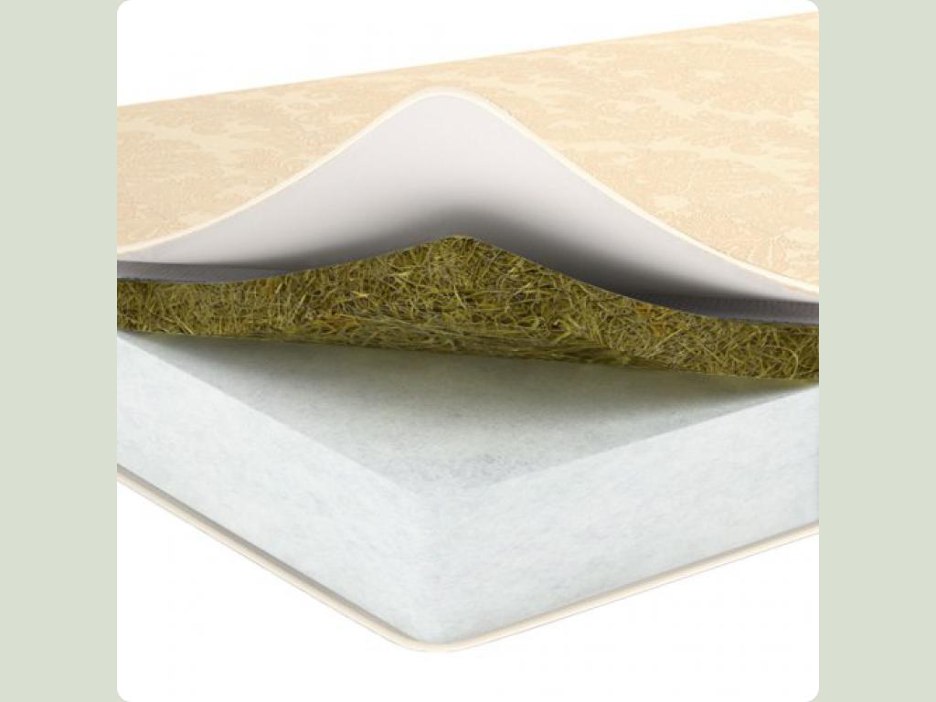 Морская трава